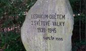 Excursión A pie Písek - NS Školní polesí - Hůrka - Photo 2