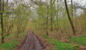 Randonnée Marche Viroinval - Balade dans le Viroinval - Olloy - Photo 5