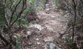 Trail Walking Toulon - reco faron 2 - Photo 2