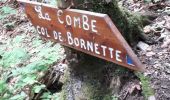 Randonnée Marche Bellecombe-en-Bauges - La croix du Roy  - Photo 5
