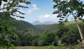 Tocht Stappen Sainte-Luce - Boucle Ladour via Corps de Garde - Photo 10