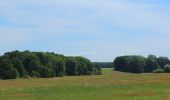 Tour Zu Fuß Schwielochsee - Wanderweg Lamsfeld-Klein Liebitz-Lieberose - Photo 9