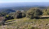 Tour Wandern Fontaine-de-Vaucluse - Les Hauteurs de la Fontaine - Photo 10