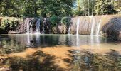 Randonnée Marche Solliès-Ville - Domaine de la Castille- Solliès-Pont-08-09-23 - Photo 2