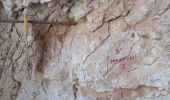 Excursión Senderismo Ollioules - Grottes St Martin 1et 2 + Christianisée - Photo 20