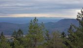 Tour Wandern Leberau - Liépvre - Roche des Fées, Roche de Chalmont, Rocher du Coucou, château du Frankenbourg - Photo 20