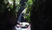 Excursión Senderismo Bouillante - Trou à Diable par la rivière Bourceau - Photo 1