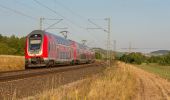 Tocht Te voet Gemünden am Main - Ortswanderweg Gemünden 4 - Photo 2