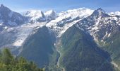 Randonnée Marche Les Houches - Aiguillette des Houches - Photo 11