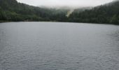 Trail Walking La Bresse - boucle col des feignes, lac de la lande, lac de blanchemer, rainkopft - Photo 6