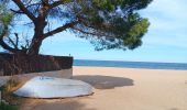 Trail Walking Argelès-sur-Mer - racou - collioure - racou / en boucle - Photo 5
