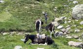 Trail Horseback riding Gavarnie-Gèdre - Gavarnie étape 4 - Photo 18