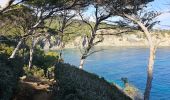 Tocht Stappen Hyères - Hyères - La presqu'île de Giens - Circuit côtier ouest  - Photo 19