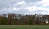 Tocht Te voet Lanaken - La Butte aux Bois Paarse trapezium - Photo 8