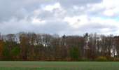 Randonnée A pied Maasmechelen - La Butte aux Bois Paarse trapezium - Photo 8