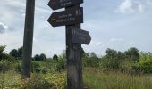 Randonnée Marche Avesnes-sur-Helpe - Balisage Camp de César 2° passage 2019 - Photo 7