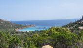 Randonnée Marche Sartène - Plages de Roccapina et d'Erbaju - Photo 16