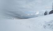 Randonnée Raquettes à neige Sewen - SewenWissgrutFennmatt - Photo 4