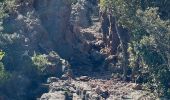 Tour Wandern Saint-Raphaël - Cap Roux et grues depuis Belle-Barbe - Photo 16