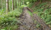 Tour Wandern Bouillon - Les Hayons 2 - Photo 11