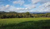 Tour Wandern Vernègues - Vernègues, Jeansine, château bas, Victoire ch. des Bastides. - Photo 1