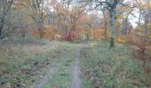 Trail Walking Fontainebleau - vert galant 25 novembre 2022  - Photo 10