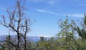 Trail Walking Sisteron - Sisteron - Molard - Photo 5