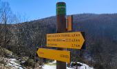 Randonnée Marche Mont Lozère et Goulet - Oultet/Lozerette/Les Sagne/Auriac - Photo 12