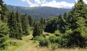 Excursión Senderismo Arâches-la-Frasse - randonnée en forêt, les Carroz, Araches, la Frasse - Photo 19