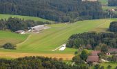 Tour Zu Fuß Muri - Muri - Geltwil - Schlatt - Photo 4