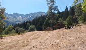 Excursión Senderismo Le Haut-Bréda - Croix du Léat,  Pierre des Pins, Lac et  chalet du Léat en passant par le chalet du bout - Photo 11