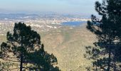 Trail Walking Mandelieu-la-Napoule - Esterel volcan - Photo 1