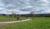 Trail Walking Érezée - Briscol - Photo 1