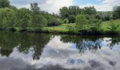 Trail Walking Thuin - Thuin Belgique - Photo 10