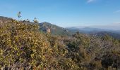 Trail Walking Bagnols-en-Forêt - Blavet - Photo 2