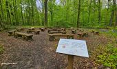 Tocht Stappen Châtelet - Marche Adeps à Soleilmont - Photo 12