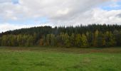 Tour Wandern Theux - 20221024 - Jehanster 7.7 Km - Photo 19