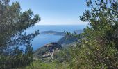 Tour Wandern La Turbie - fort de la Revère - Photo 3