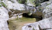 Randonnée Marche Ollioules - Chateau Vallon - Oppidum - Meulerie - Grotte patrimoine - vallon du Destel - Grotte des Joncs 9 - Four à cade - Appier - Four à chaux - Photo 12
