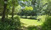 Tocht Stappen La Chapelle-Enchérie - La Chapelle-Enchérie - Bois de Bricsard - Photo 18