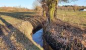 Tocht Te voet Scheeßel - Nordpfad Kirchsteg-Moore-Bäche - Photo 3