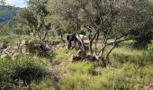 Trail Walking Cuers - Promenade sous les barres de Cuers, en partant du village de Cuers - Photo 6