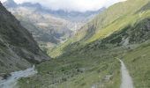 Excursión A pie La Chapelle-en-Valgaudémar - Refuge de Chabournéou - Photo 4