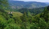 Tocht Stappen Ramonchamp - Ferdrupt / Les etangs noirs / Chalet Grammont / Chalet de l'alouette  - Photo 16