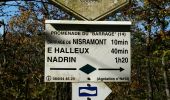 Trail Walking Houffalize - NISRAMONT ... les Deux Ourthes. - Photo 7