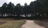 Tour Radtourismus  Quend - Belle Dune - Parc du Marquenterre - Photo 1