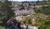 Tour Wandern Fillière - la tête du Parmeka  - Photo 4