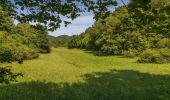 Tocht Te voet Dillenburg - Rothaarsteigspur Wacholderweg - Photo 10