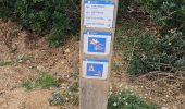 Trail Walking La Croix-Valmer - Boucle en partant de la plage de Gigaro - Photo 20