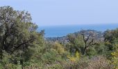 Trail Walking Sainte-Maxime - circuit panoramique Ste Maxime - Photo 17